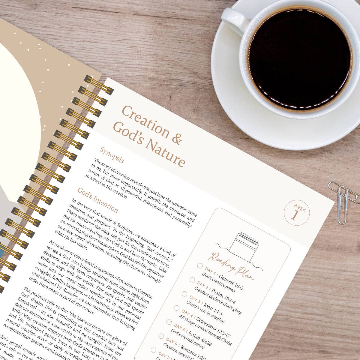 The Bible In A Year: A 52-Week Study