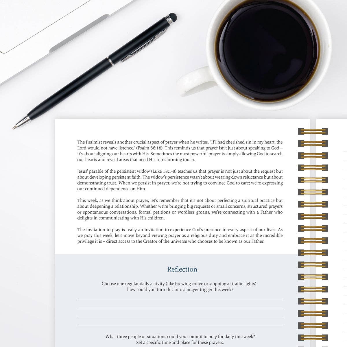The Bible In A Year: A 52-Week Study