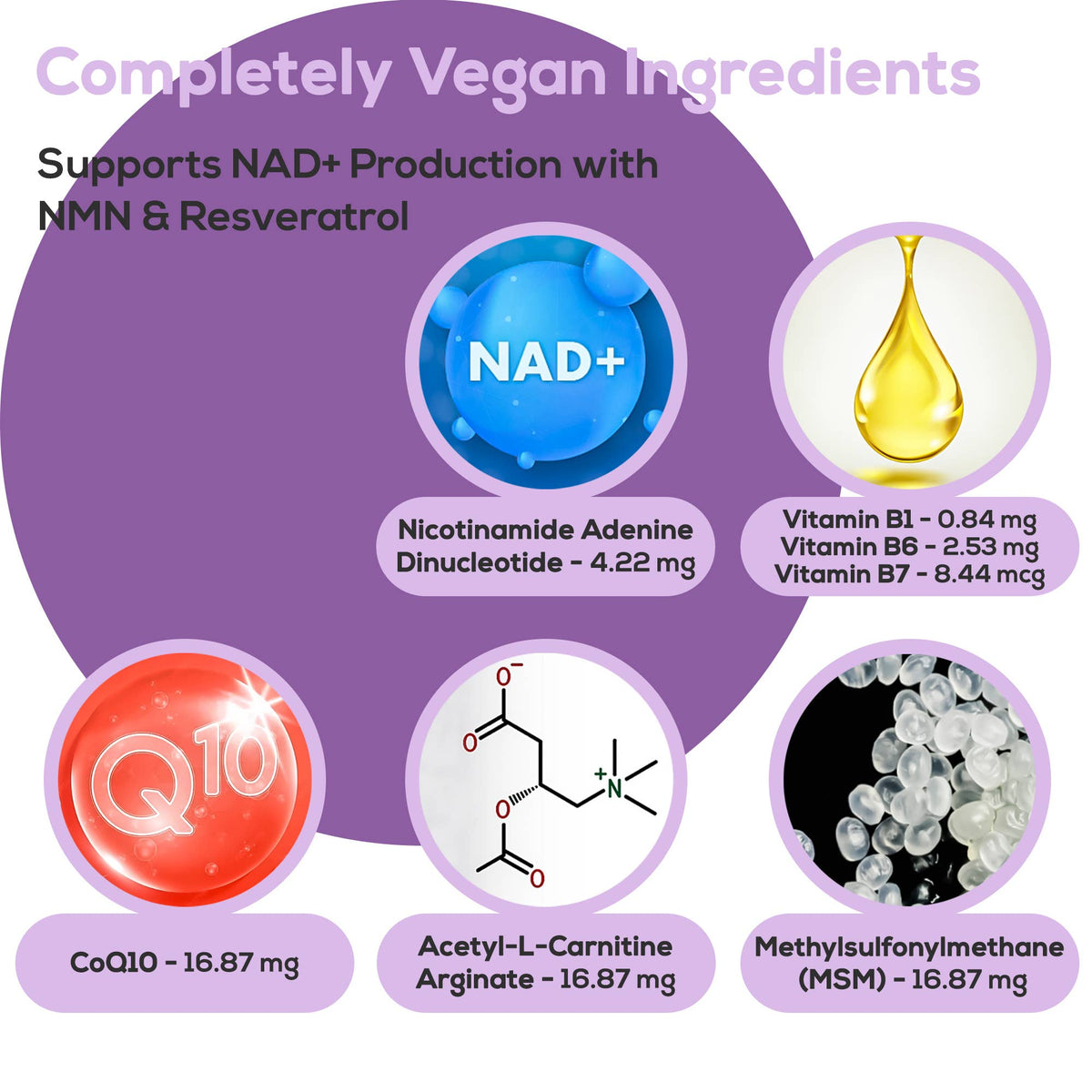 HARMONIFY NAD+ Patches - Cellular Health & Vitality