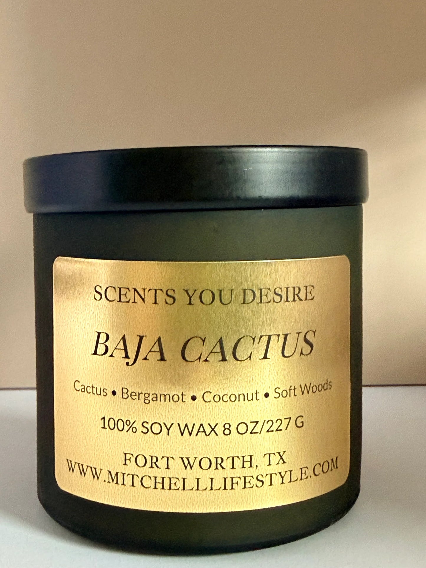 Baja Cactus Luxury Soy Candle| 8 oz