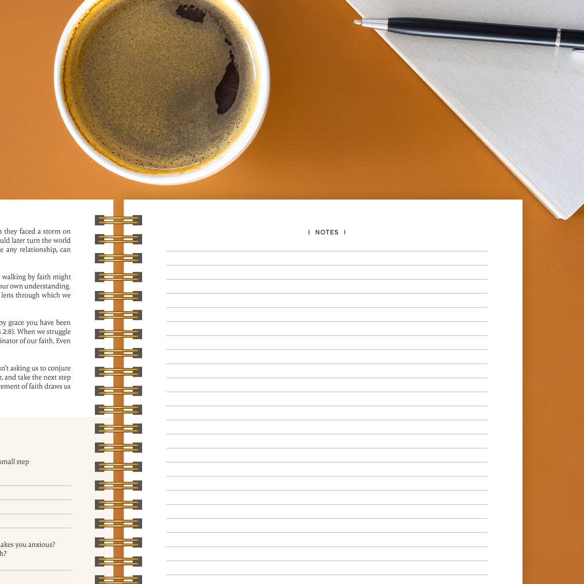 The Bible In A Year: A 52-Week Study