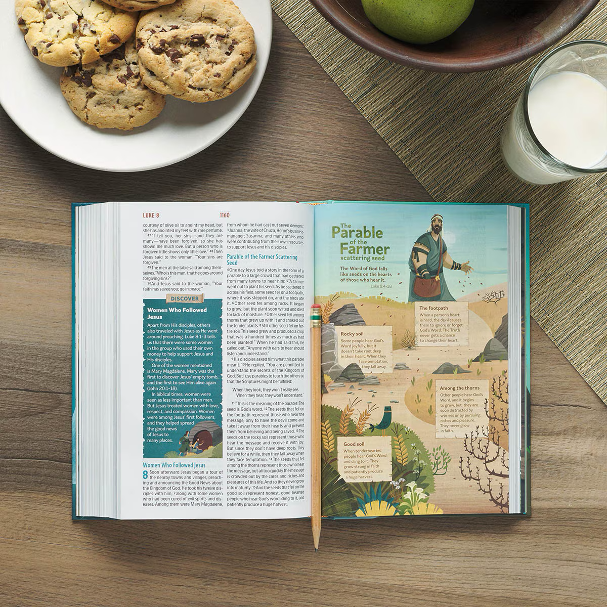 The Discovery Bible - Hardcover