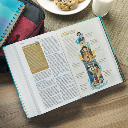 The Discovery Bible - Hardcover