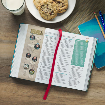 The Discovery Bible - Hardcover