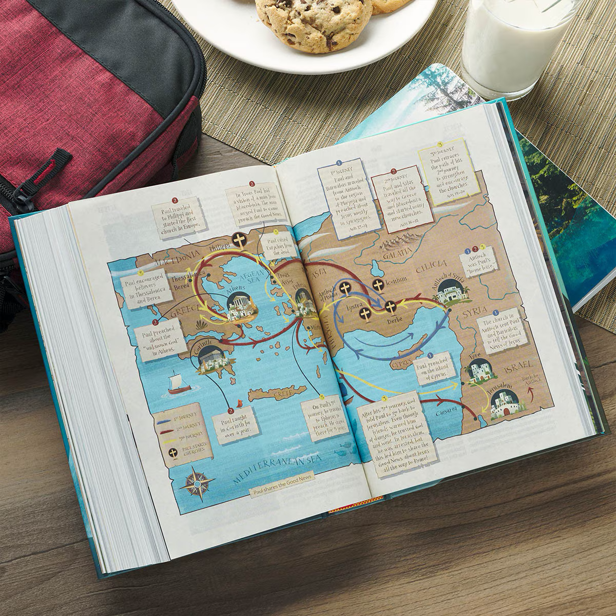 The Discovery Bible - Hardcover